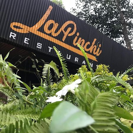 La Pinchi " Pinchi'S Bed " Hotel กัมโปลา ภายนอก รูปภาพ