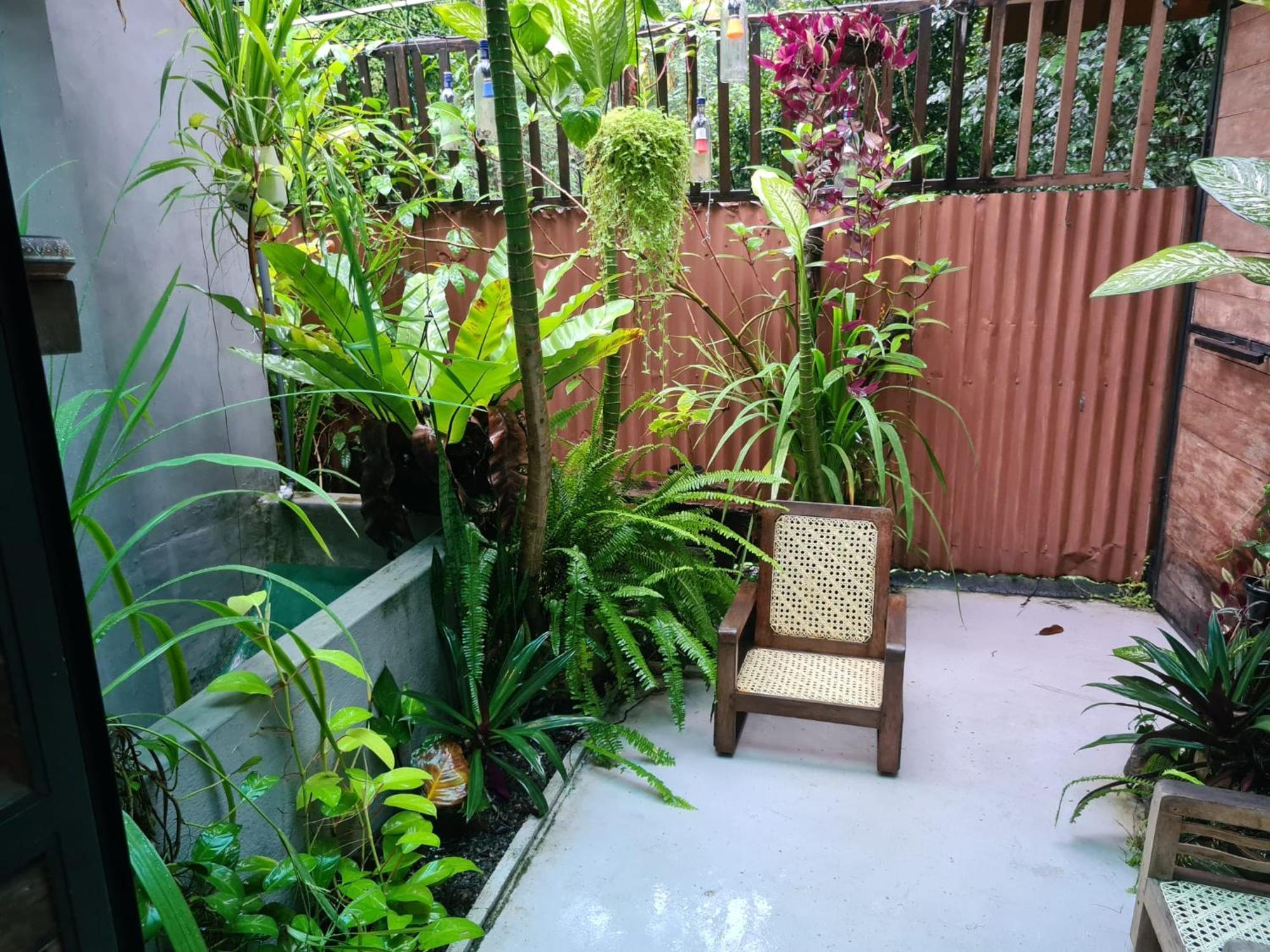 La Pinchi " Pinchi'S Bed " Hotel กัมโปลา ภายนอก รูปภาพ